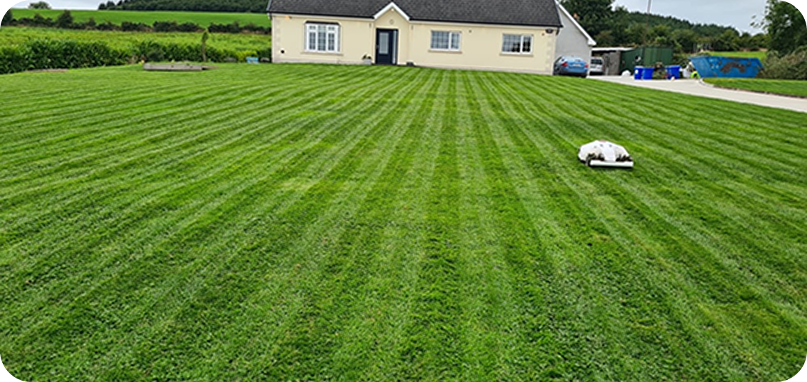 Was ist besser für den Rasen, ein Rasenmäher oder ein Mähroboter?