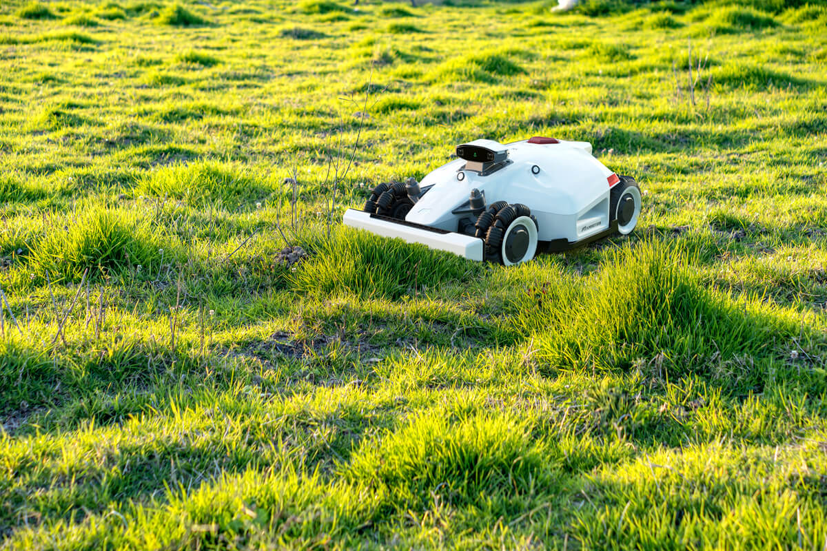 12 unschlagbare Mähroboter Vorteile für Ihren Rasen