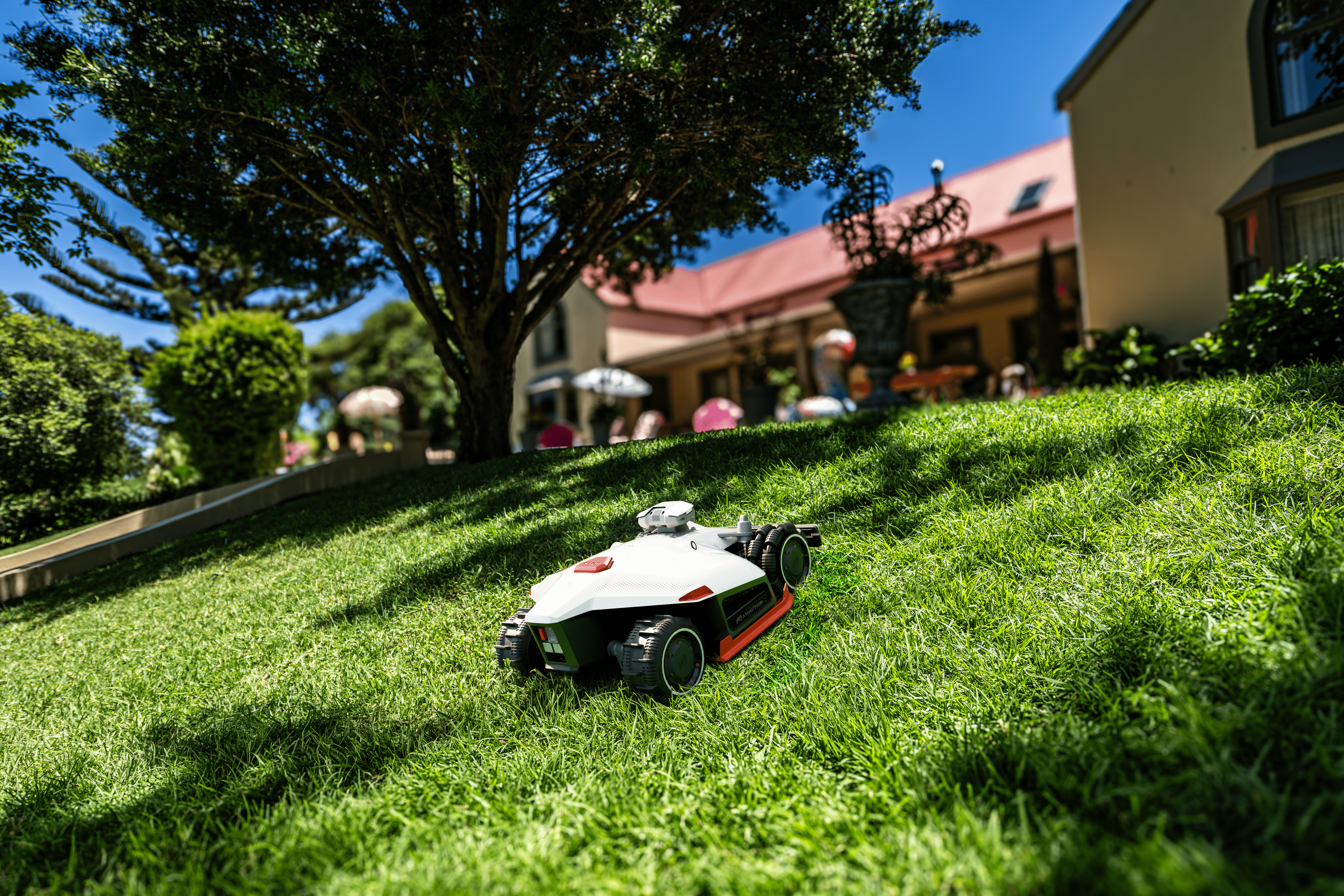 Beste Mähroboter für 5000 m²: Top-Empfehlungen & Kaufberatung