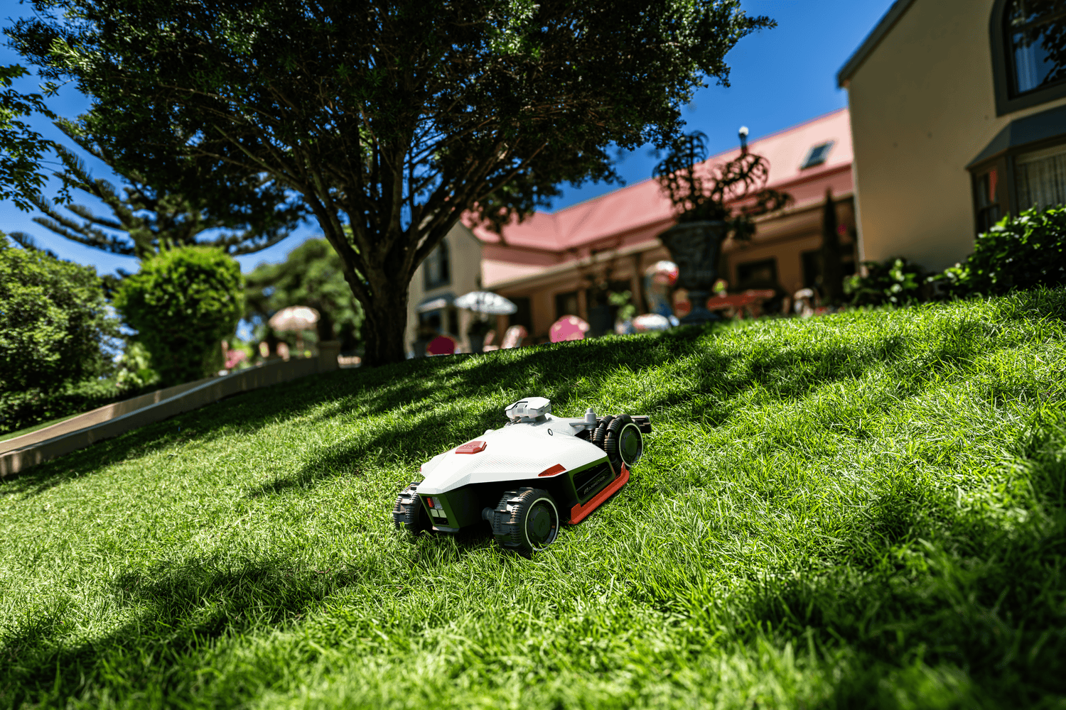 Beste Mähroboter für 5000 m²: Top-Empfehlungen & Kaufberatung