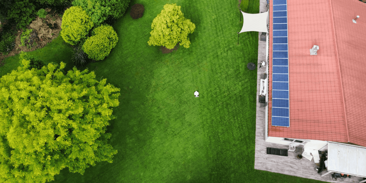 Monatlicher Rasenpflege-Plan für das ganze Jahr in Deutschland