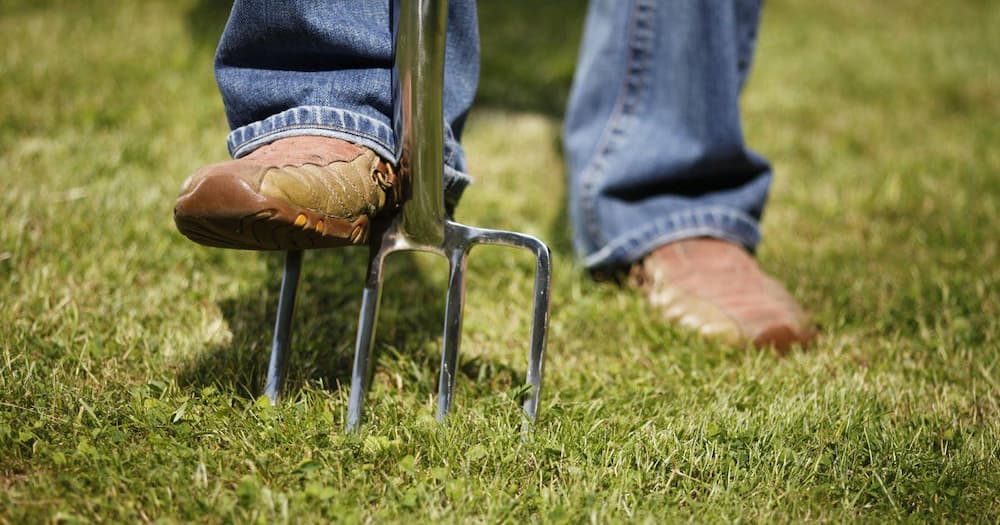 Rasen Lüften: Warum Ihr Rasen jetzt mehr Luft braucht