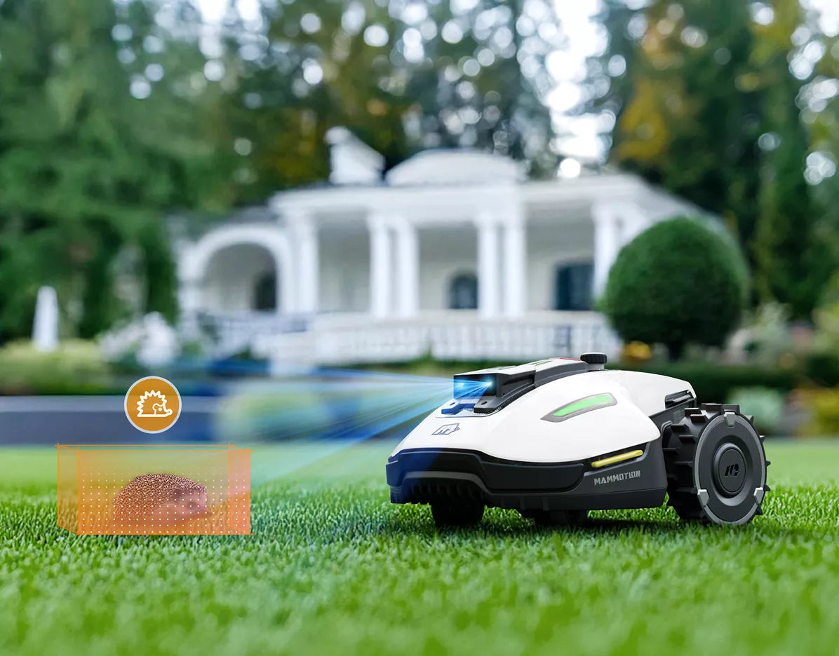 Wie viel kostet ein Rasenroboter ohne Begrenzungsdraht 2025?