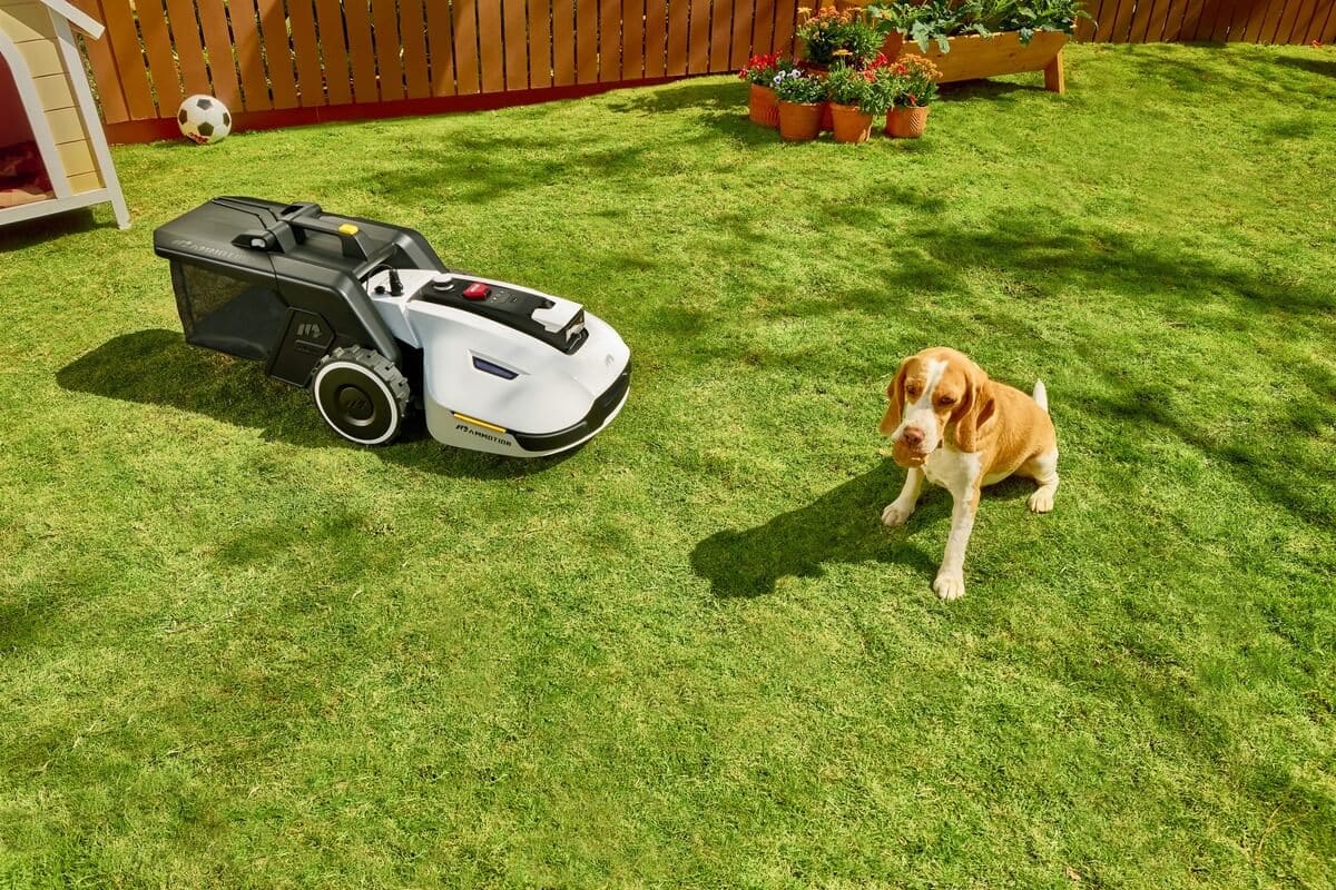 Wie viel kostet ein Mähroboter?