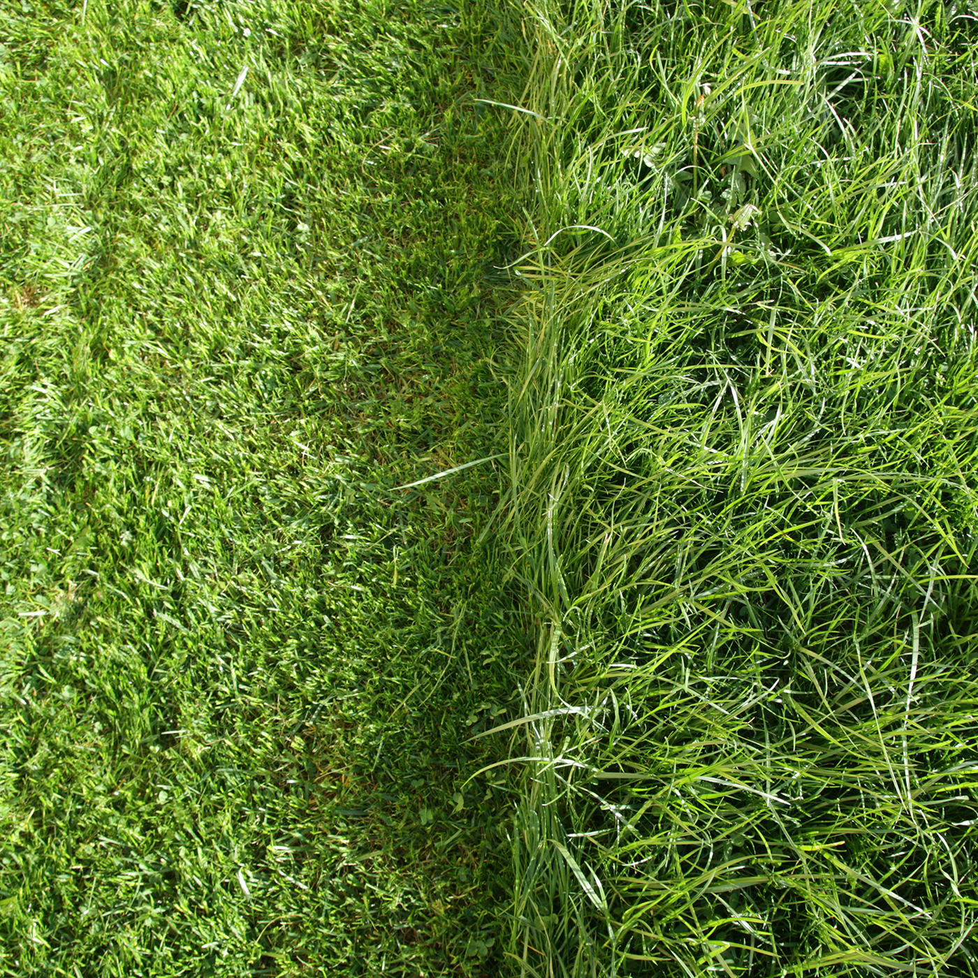 groß und dick - mammotion luba 2 awd