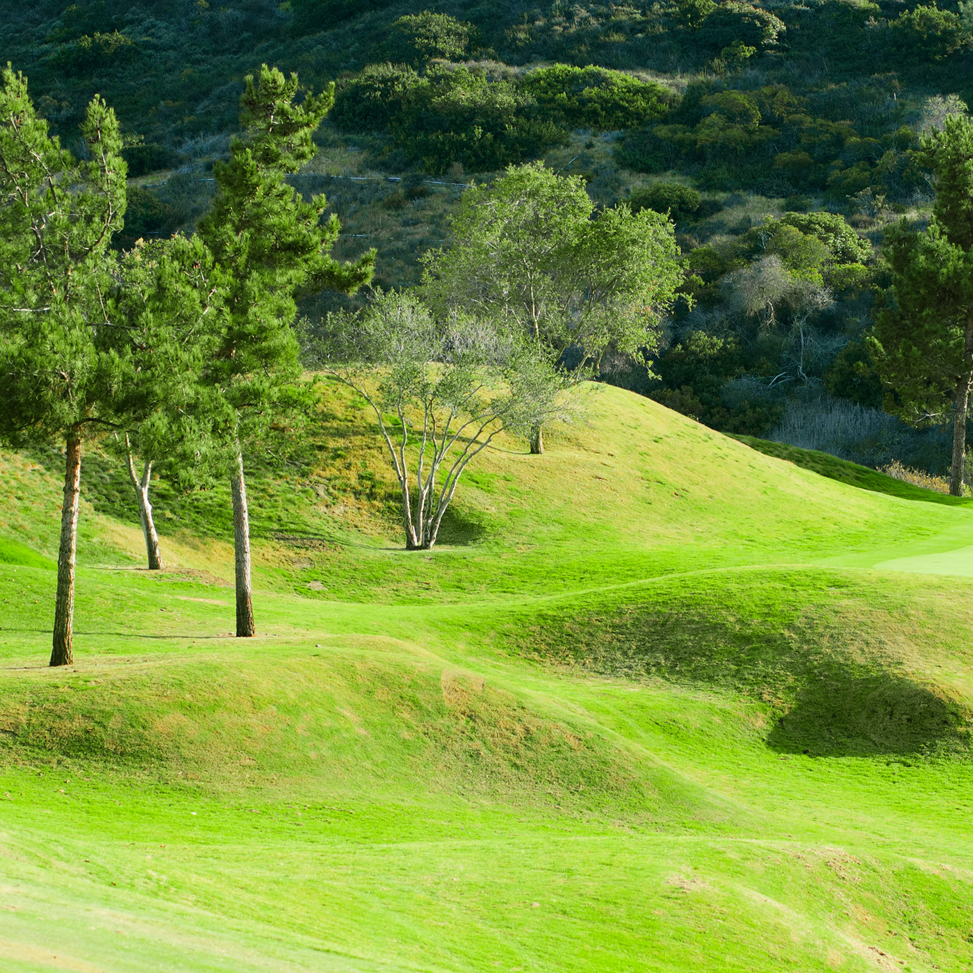 Schlaglöcher - mammotion luba 2 awd
