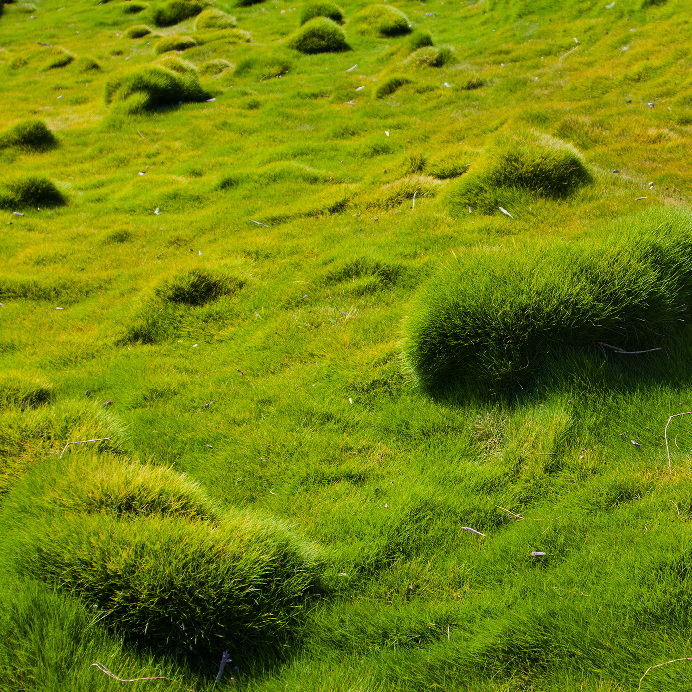 unebenes Gebiet - mammotion luba 2 awd