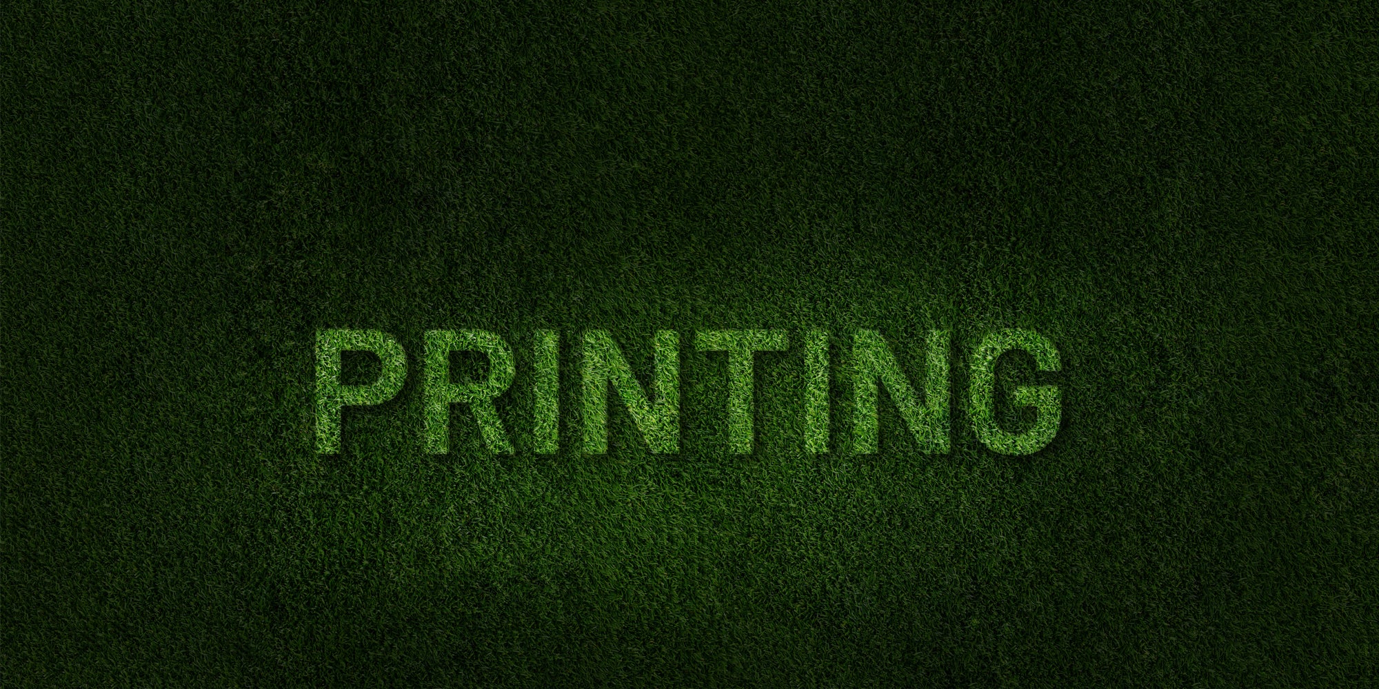 grass cutter robot - mammotion luba 2 awd