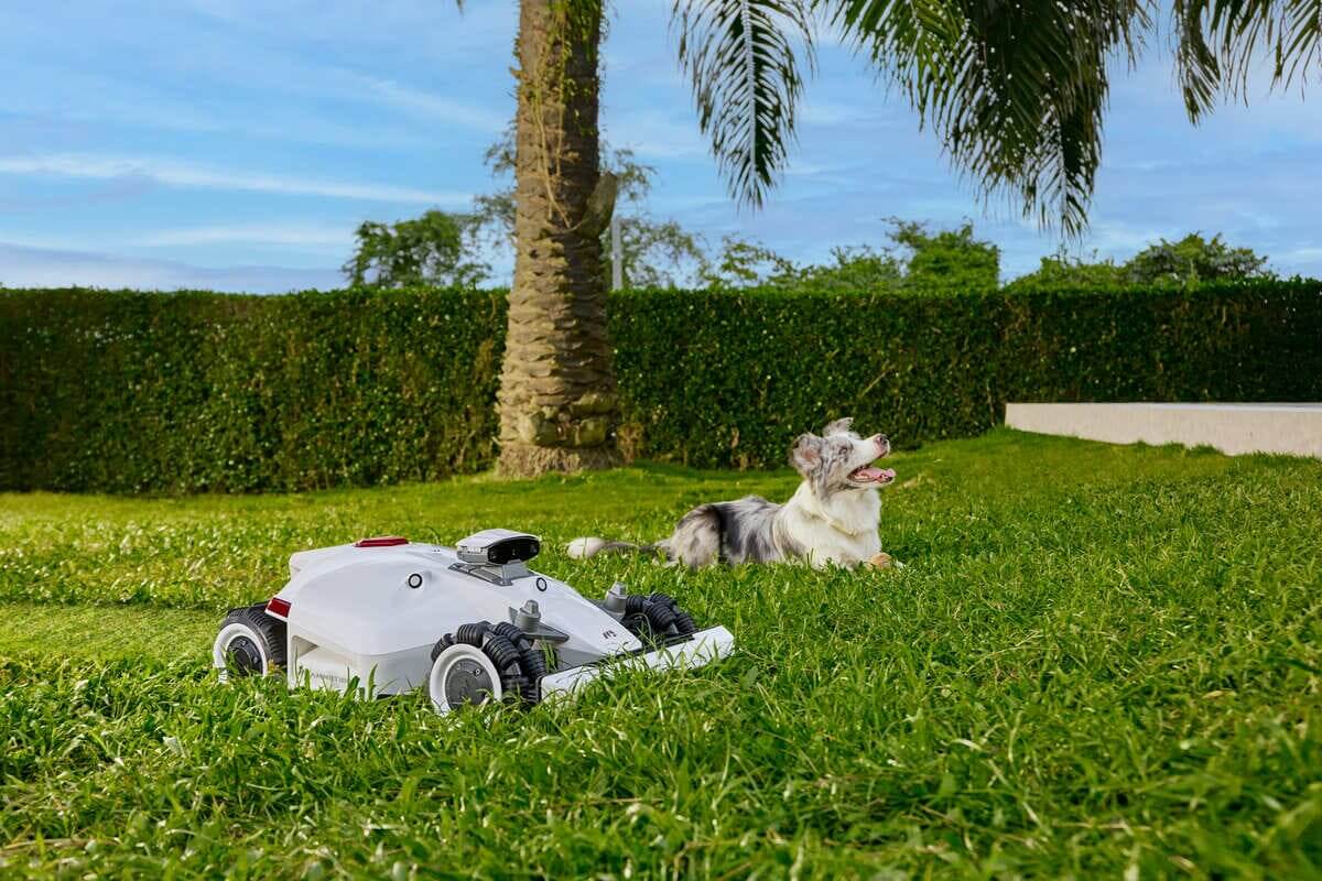 Mähroboter vor Diebstahl schützen: Die besten Maßnahmen und Mammotion Diebstahlschutz (2026)