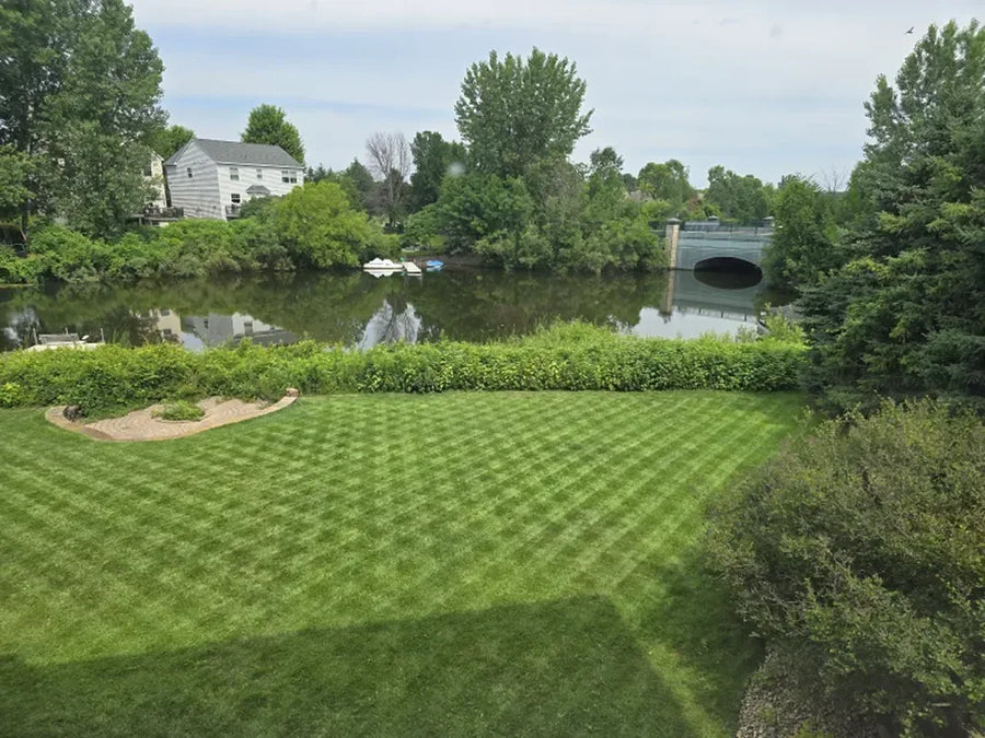 MAMMOTION robotic mower maintaining a family lawn