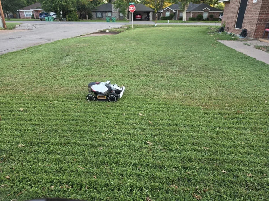 MAMMOTION robotic mower maintaining a family lawn
