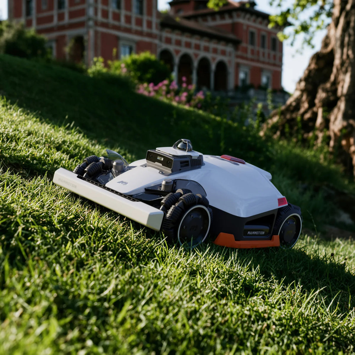 files/large_lawn_education_mo_0302.webp