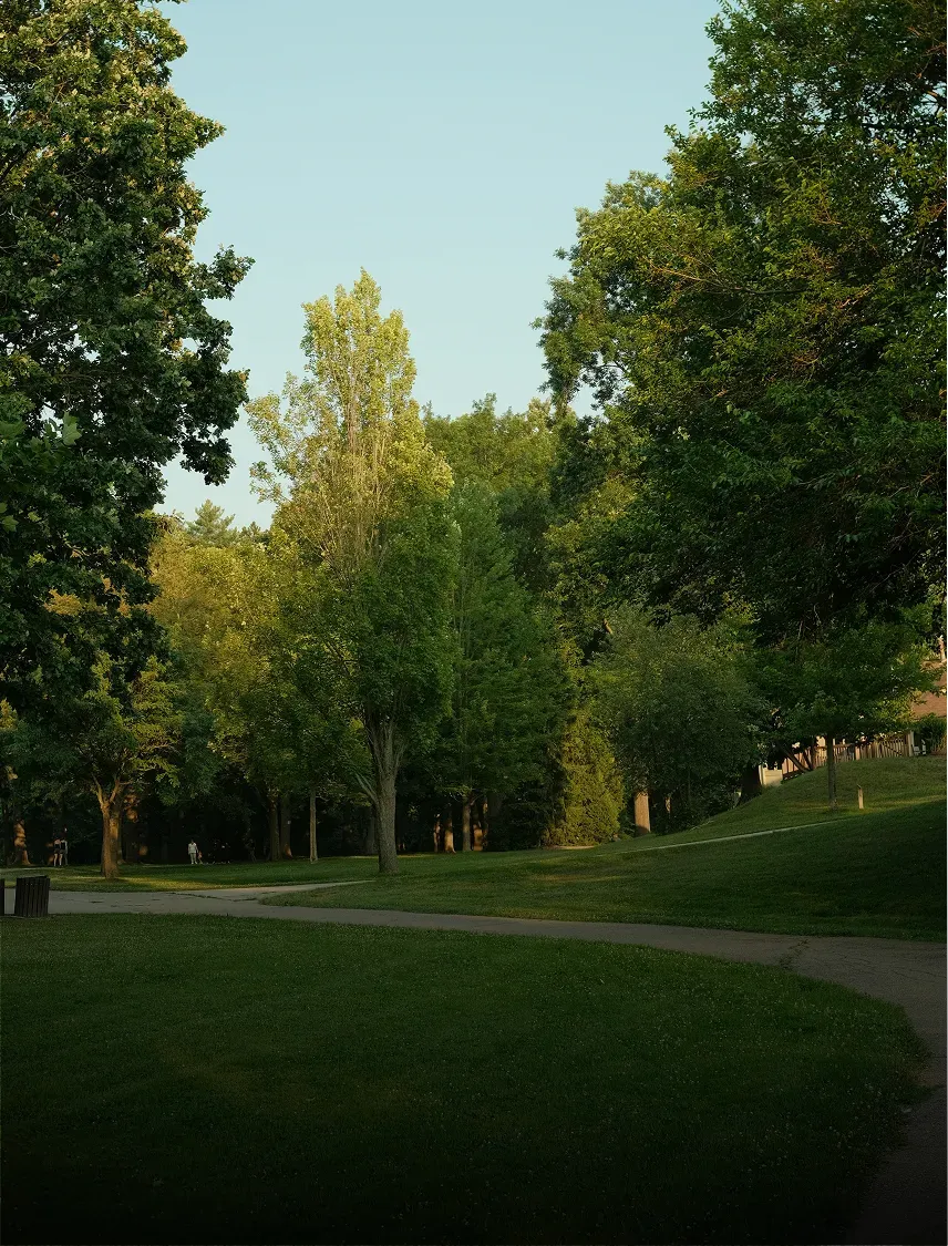 Rasen in einem öffentlichen Park