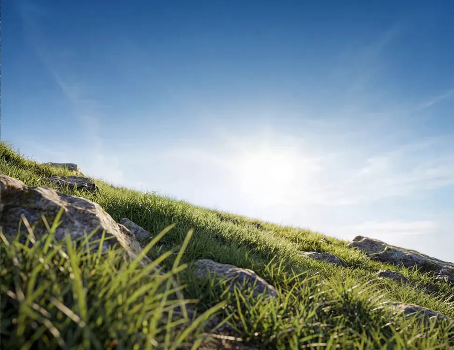 Ein grasbewachsener Hang mit Felsen und unebenem Gelände